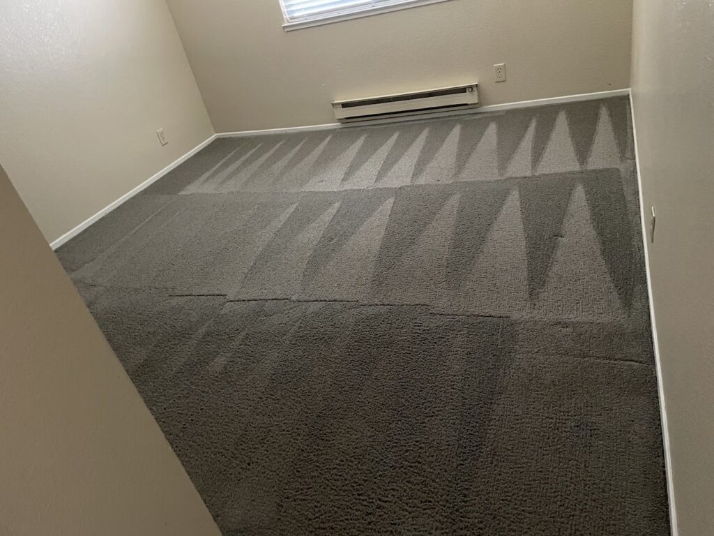 Carpet Cleaning