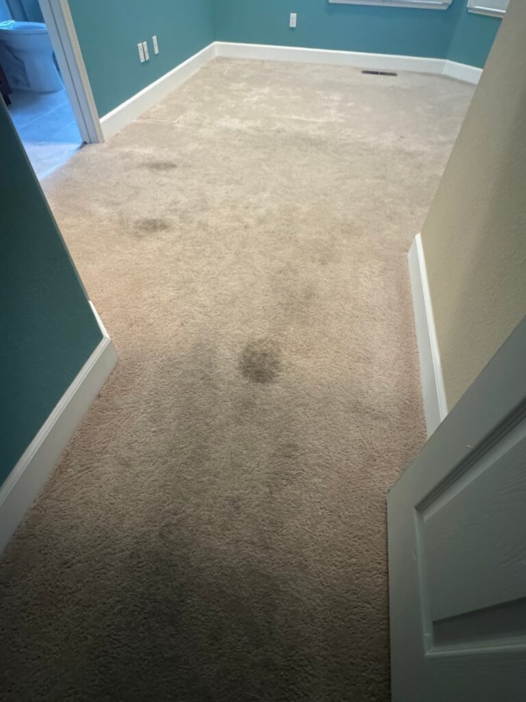 Home Odor Removal